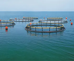 水產(chǎn)養(yǎng)殖行業(yè)