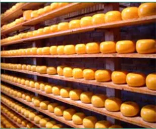 食品加工行業(yè)